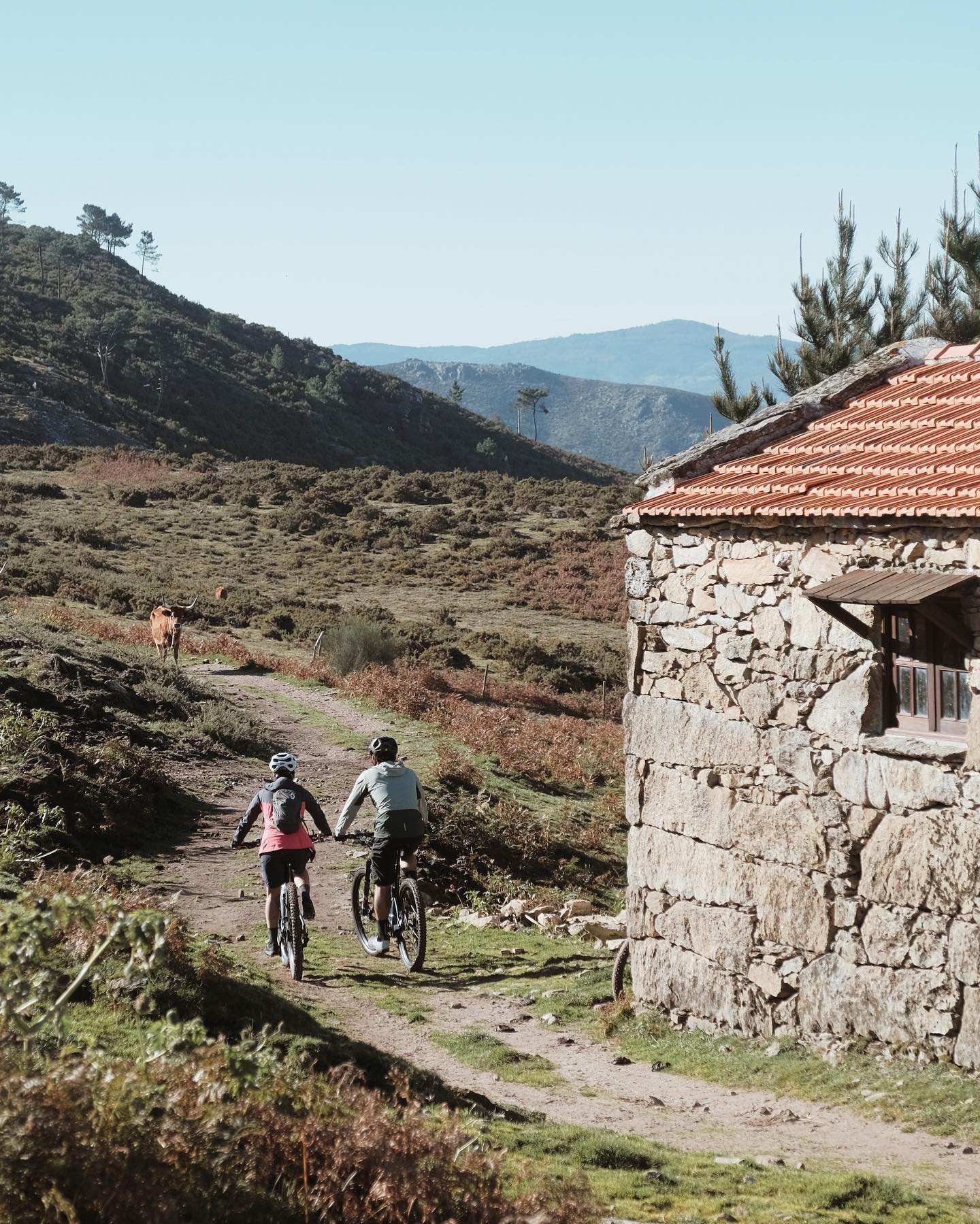 North Portugal wingfoil holidays