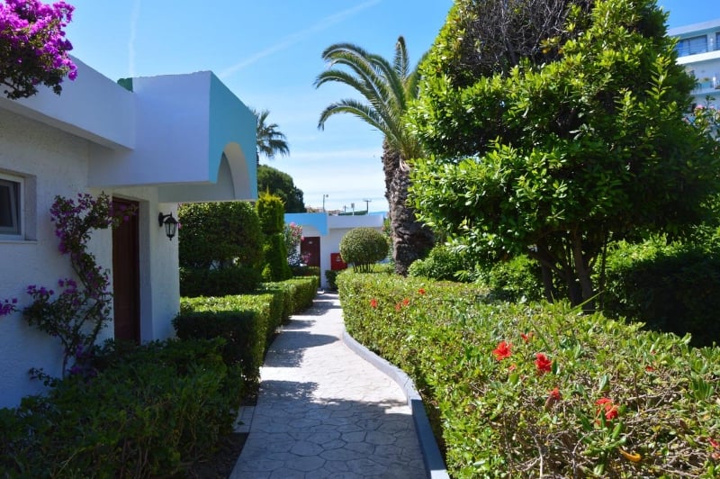 Blue Horizon, Rhodes North - wingfoil holidays
