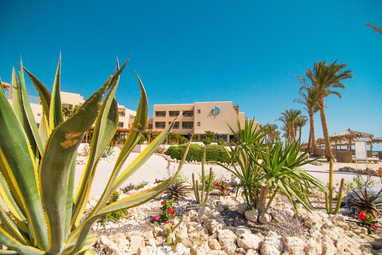 The Breakers Kitesurf And Dive Lodge, Soma Bay - wingfoil holidays