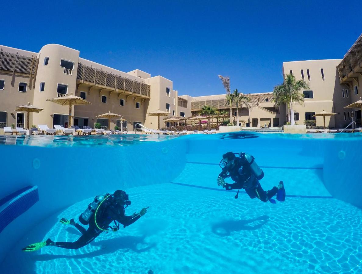 The Breakers Kitesurf And Dive Lodge, Soma Bay - wingfoil holidays