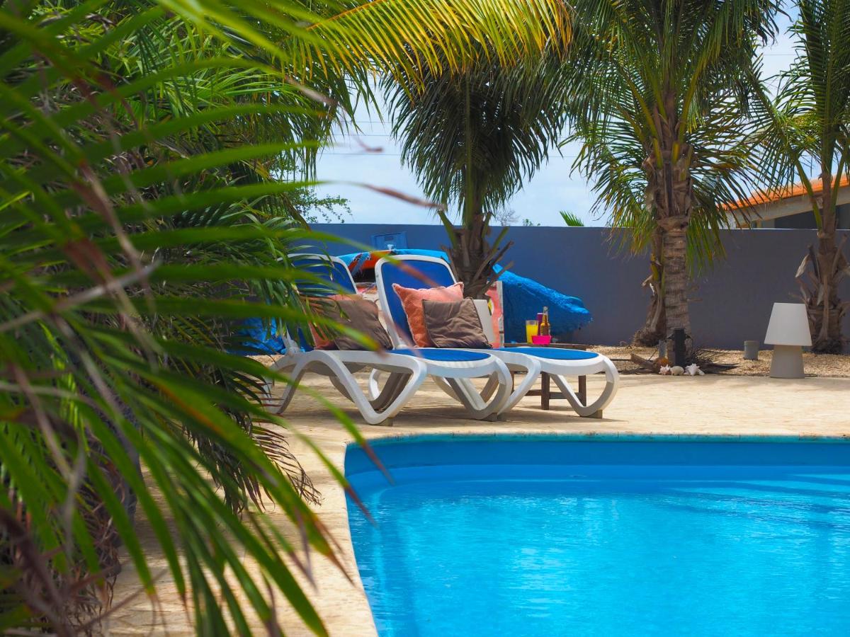 Oasis Guesthouse Bonaire, Bonaire - wingfoil holidays