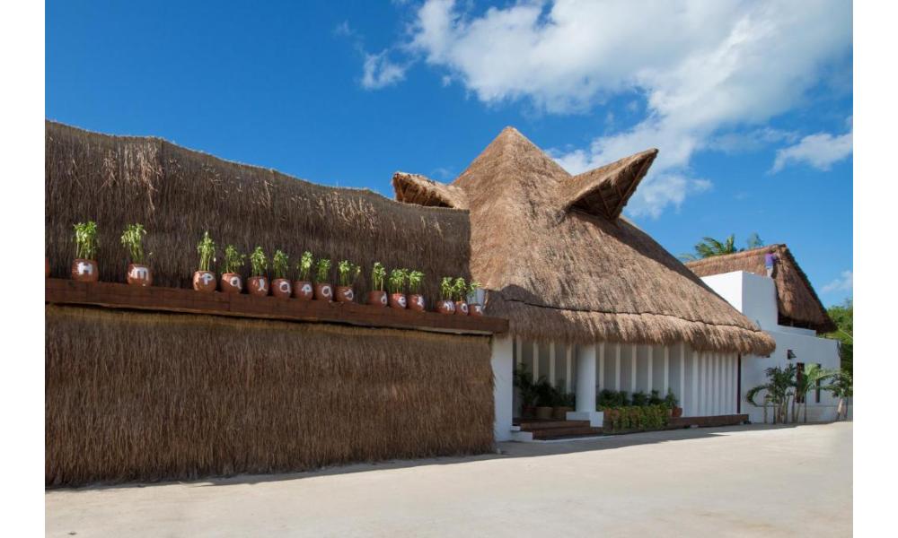 Villas Hm Palapas Del Mar, Holbox Island - wingfoil holidays