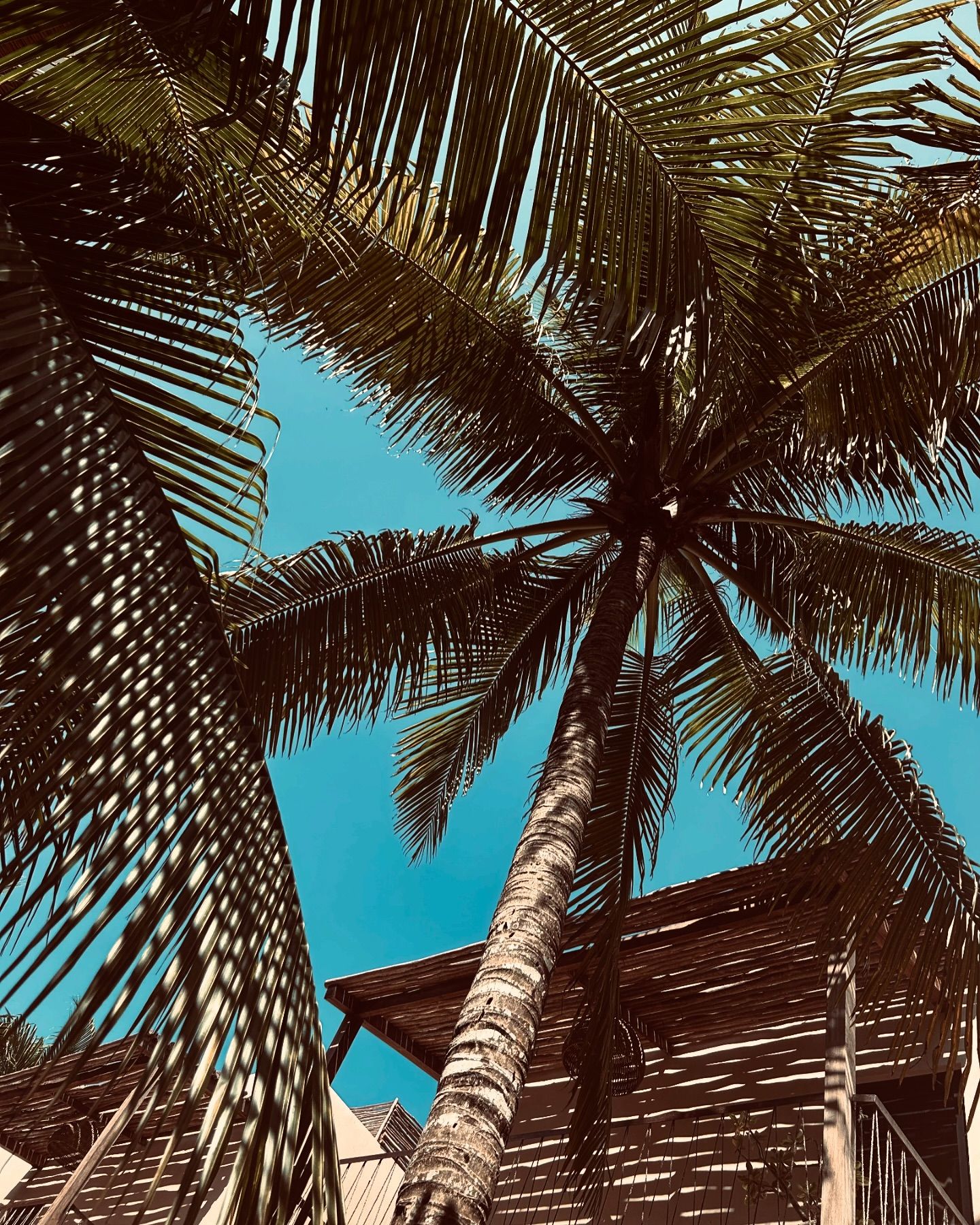 Boutique El Cuyo, El Cuyo - wingfoil holidays