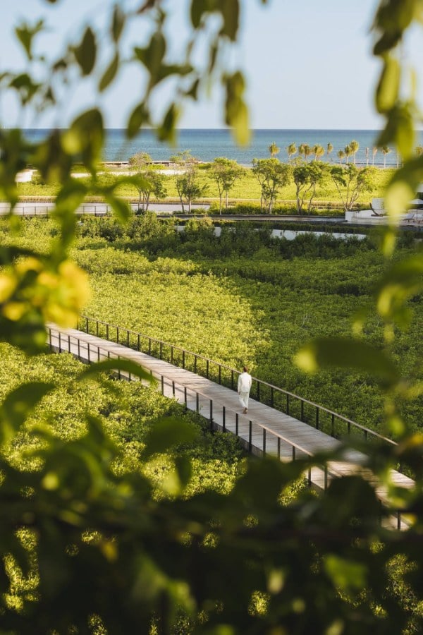 The St. Regis Kanai Resort, Riviera Maya - wingfoil holidays