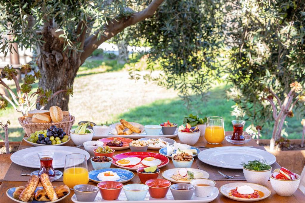 Alacati Beach Resort, Alacati - wingfoil holidays