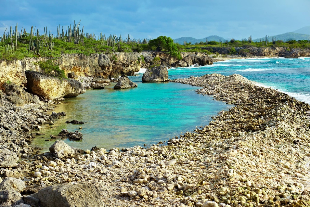 Bonaire wingfoil holidays